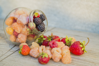 Similar image 11841712