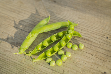 Similar image 11841723