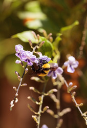 Similar image 11845991