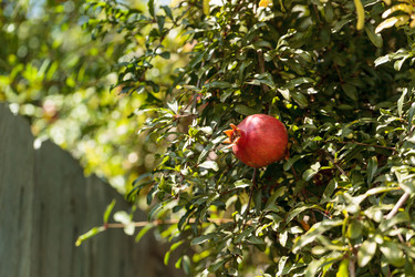 Similar image 11865879