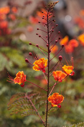 Similar image 11845994