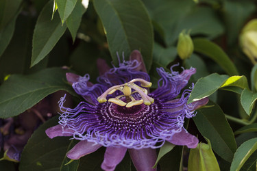 Similar image 11845995