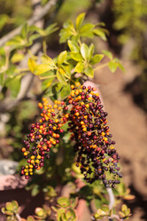 Similar image 11846023