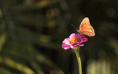 Similar image 11846025