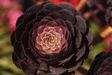 Similar image 11865873