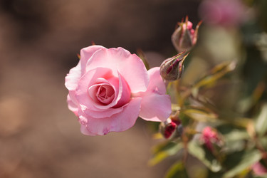 Similar image 11846029