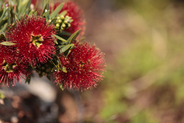 Similar image 11865874