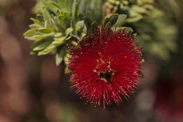 Similar image 11846030