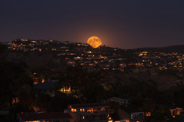 Similar image 11865864