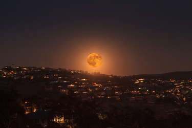 Similar image 11846039