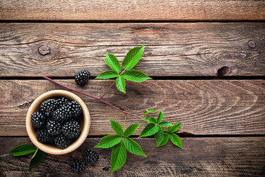 Similar image 11841326