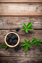 Similar image 11840558