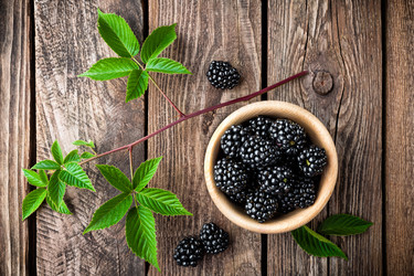 Similar image 11840559