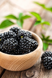 Similar image 11840560