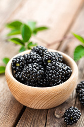 Similar image 11840561