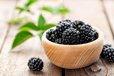 Similar image 11840563