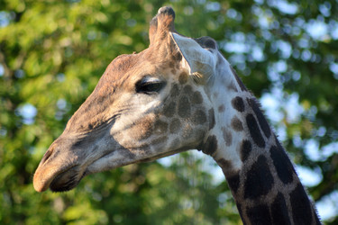 Similar image 11841281