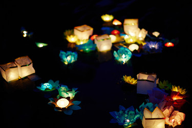 Similar image 11841239