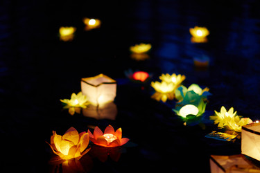 Similar image 11841245