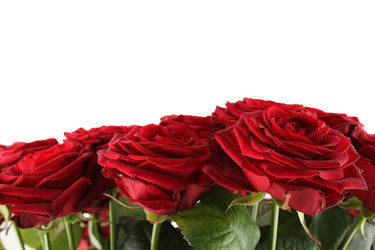 Similar image 11841377