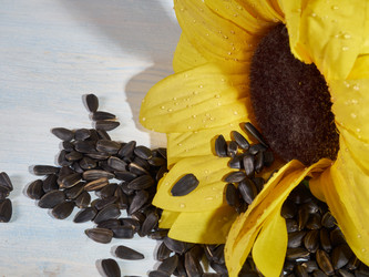 Similar image 11841448