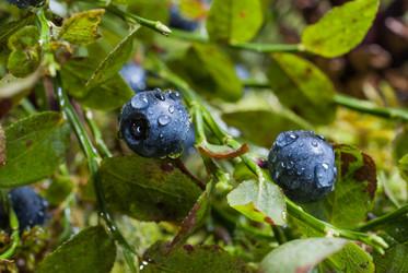 Similar image 11862737