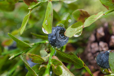 Similar image 11862738