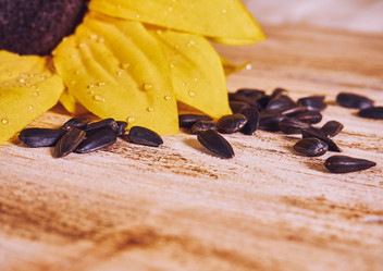 Similar image 11841469