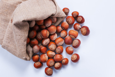 Similar image 11862759