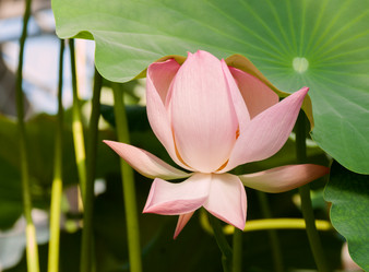 Similar image 11862805