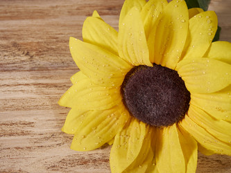 Similar image 11841479