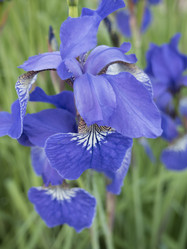 Similar image 11841484