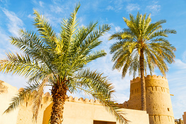 Similar image 11877801