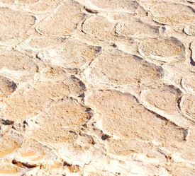 Similar image 11877879