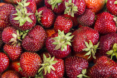 Similar image 11841730