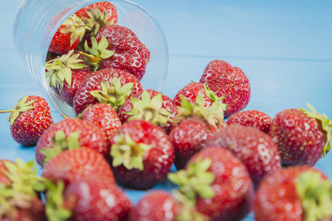 Similar image 11841735