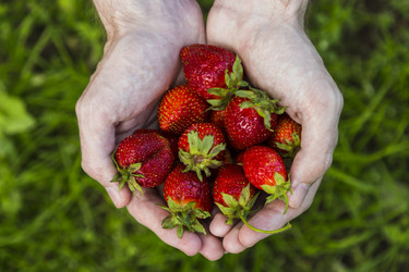 Similar image 11841691