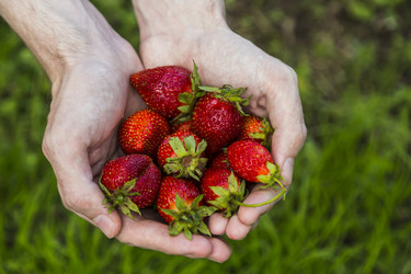 Similar image 11841693