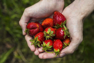 Similar image 11841695