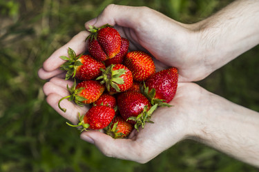 Similar image 11841700