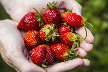 Similar image 11841714