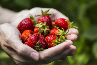 Similar image 11841716