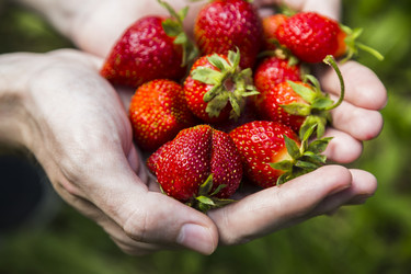 Similar image 11841738