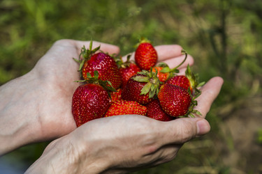 Similar image 11841740