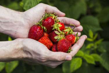 Similar image 11841743