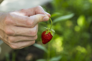 Similar image 11841745