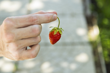 Similar image 11841746