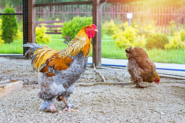 Similar image 11858623