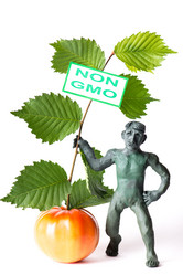 Similar image 11862855