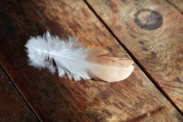 Similar image 11879947